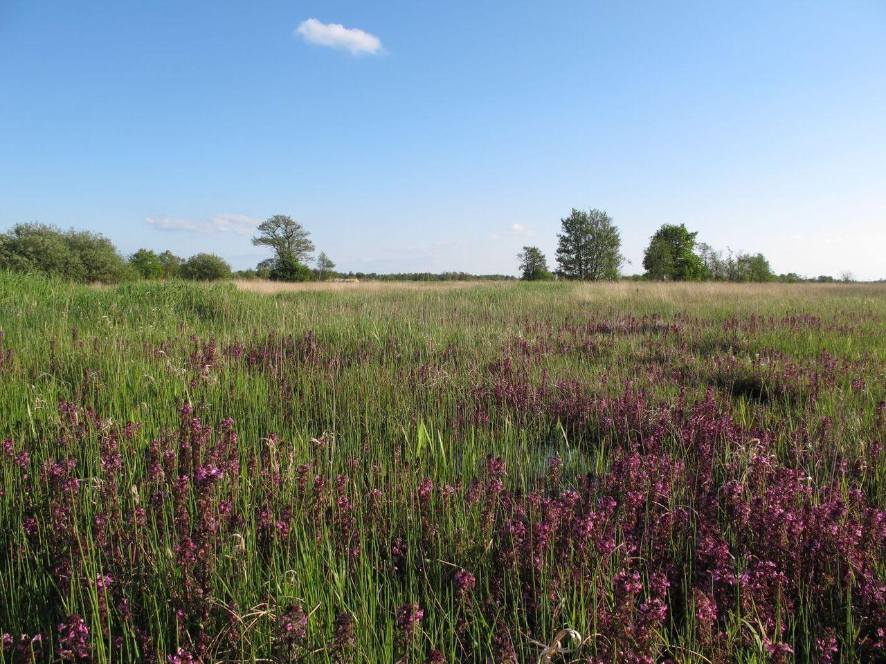 Kalenberg, Netherlands