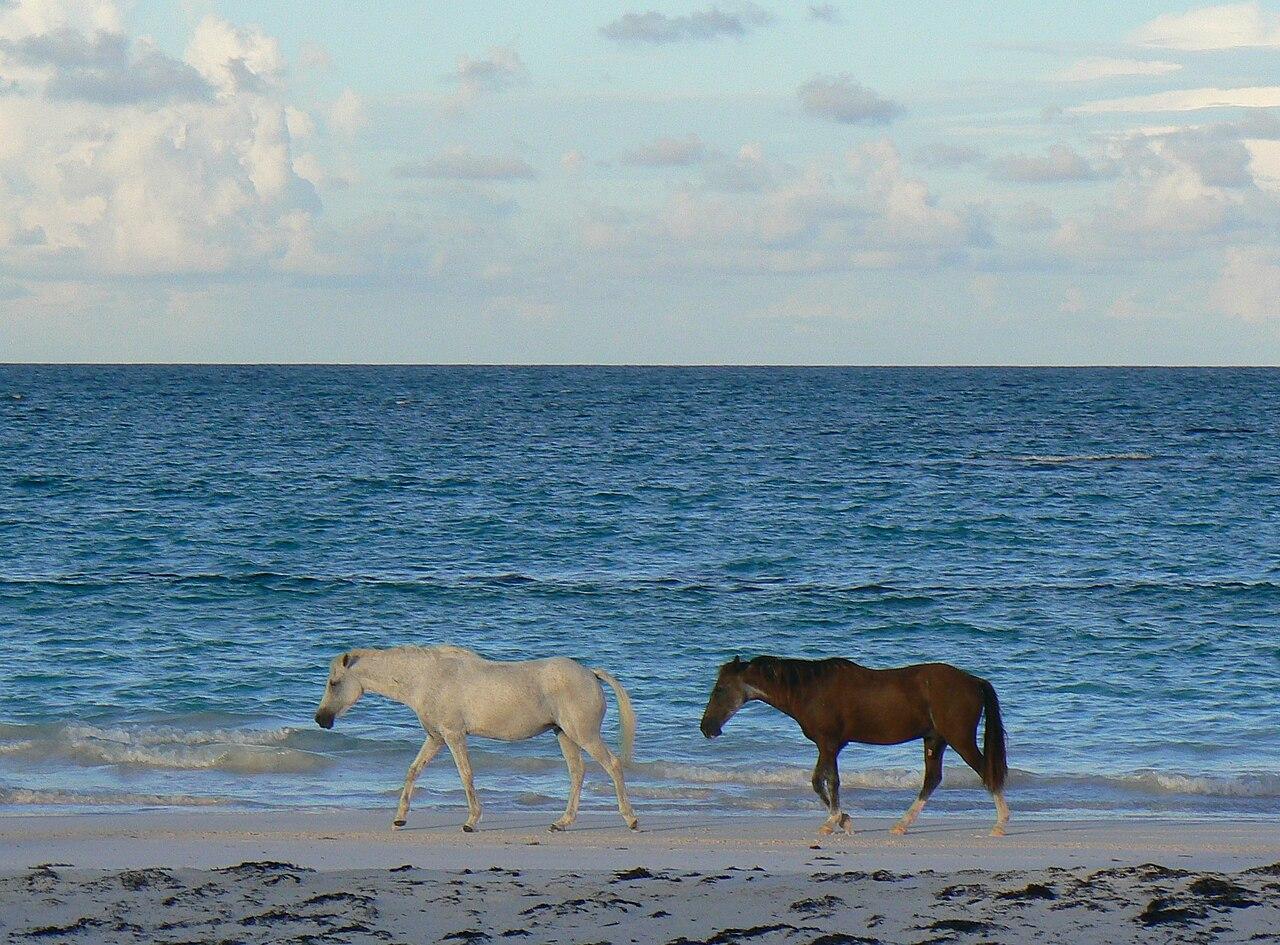 Eleuthera, Bahamas